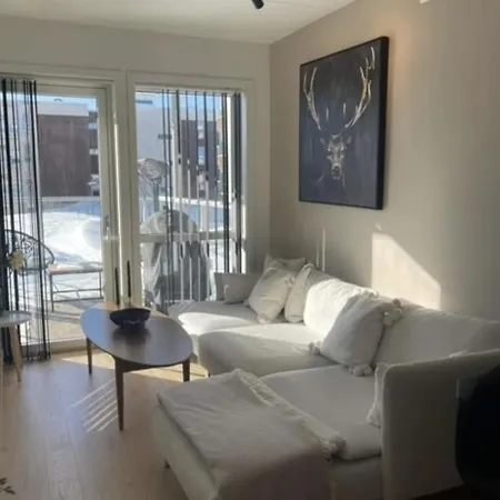 Workinntoppen شقة Lii